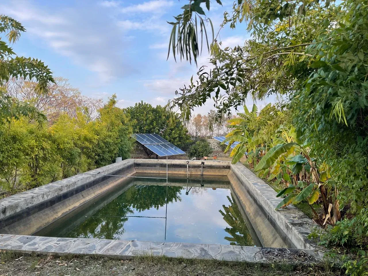 Green campus of Northern University reflecting sustainability and eco-friendly initiatives
