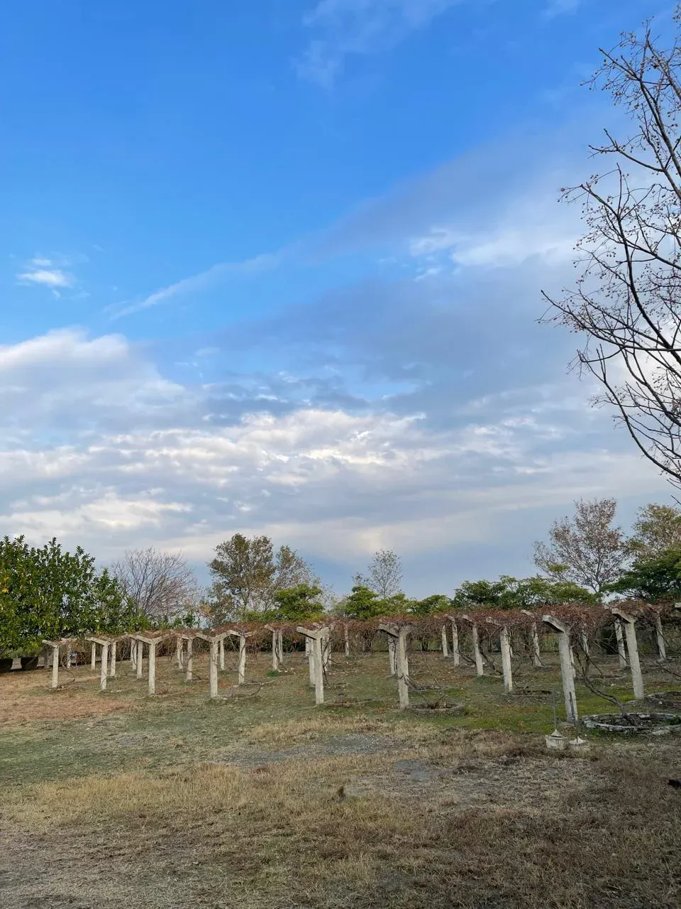Green campus of Northern University