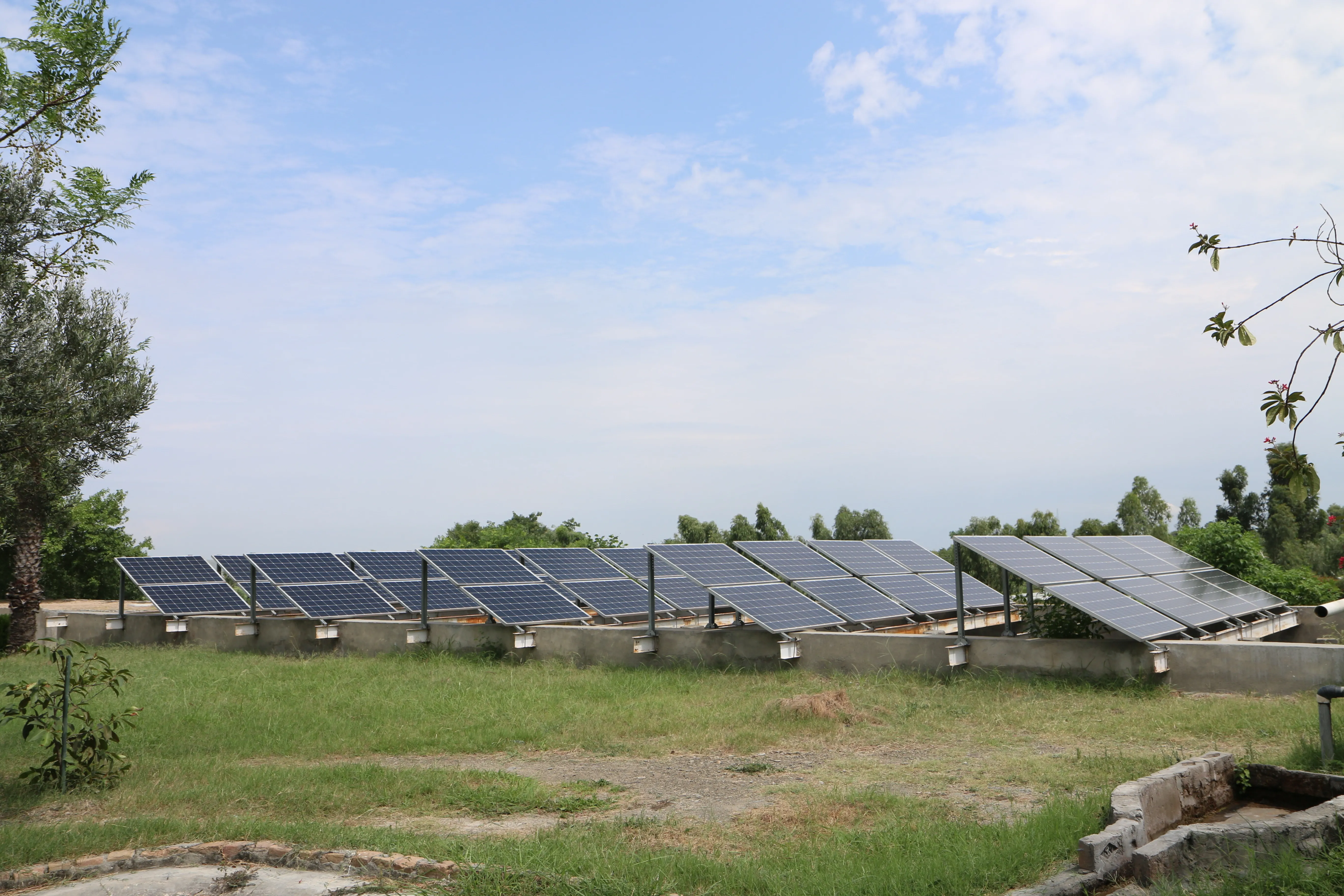 Sustainability efforts at Northern University promoting eco-friendly practices and green campus initiatives